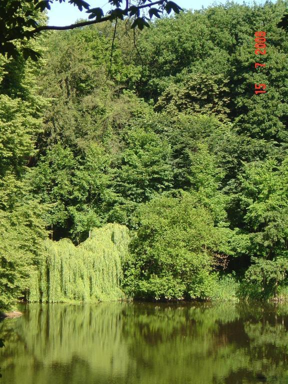 Carmina Am See Karnin  Zewnętrze zdjęcie